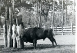 TP12002-titel