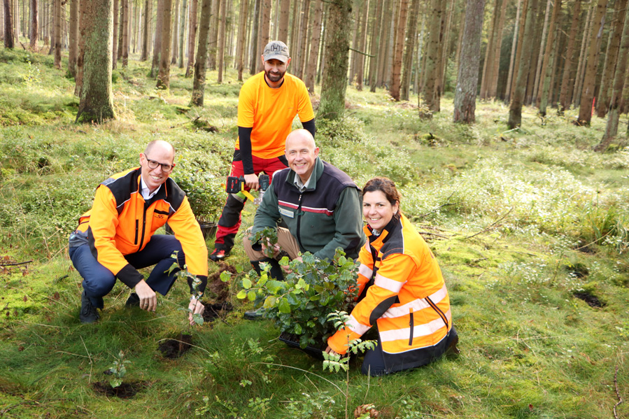 VR-Bank-Wald-Web