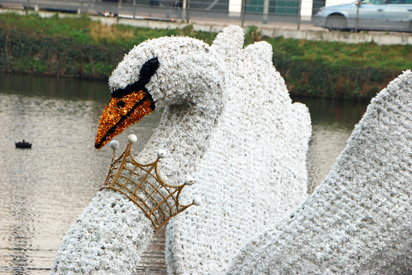 Schwan-nms1-web