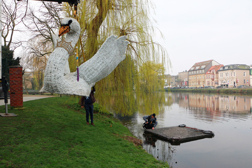 Schwan-nms3-web